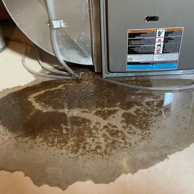 Pipe Burst and Leak Restoration in Groton, CT
