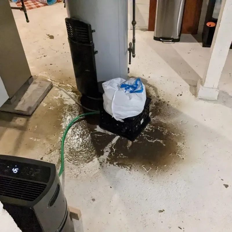 Sewage Backup Cleanup Service in Groton, CT